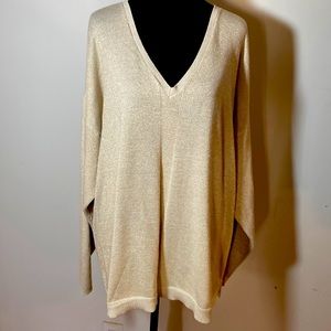 Sparkle V Neck Sweater